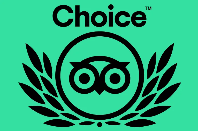 we won at tripadvisoring!